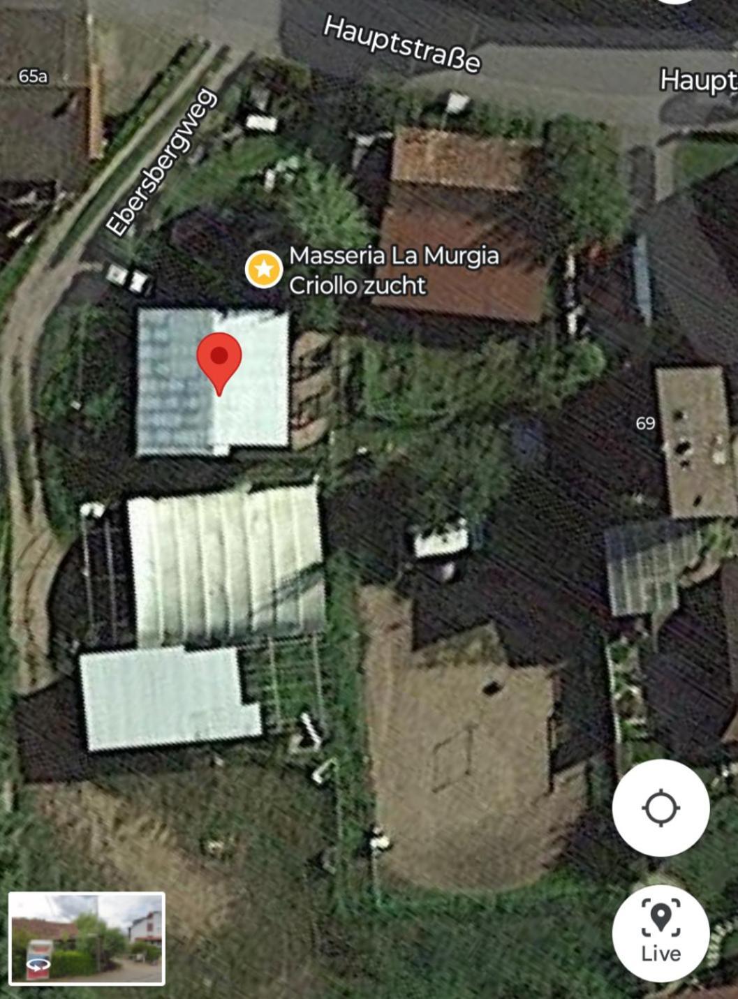 Wildcamp Resort Masseria La Murgia Unterkunft In Einem Wohnwagen Rimbach  Eksteriør billede