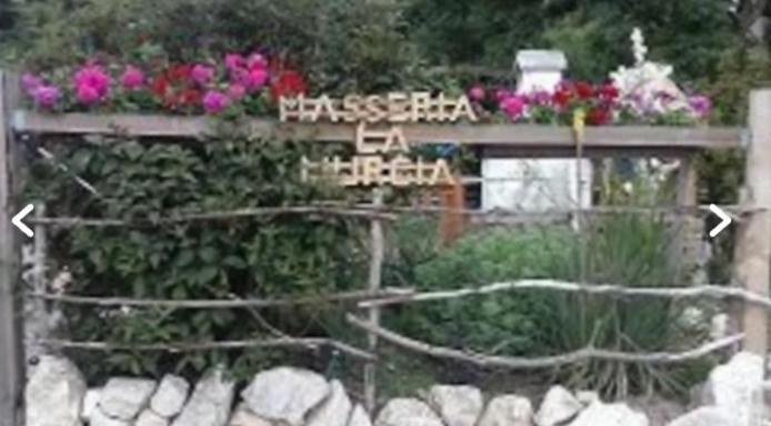 Wildcamp Resort Masseria La Murgia Unterkunft In Einem Wohnwagen Rimbach  Eksteriør billede